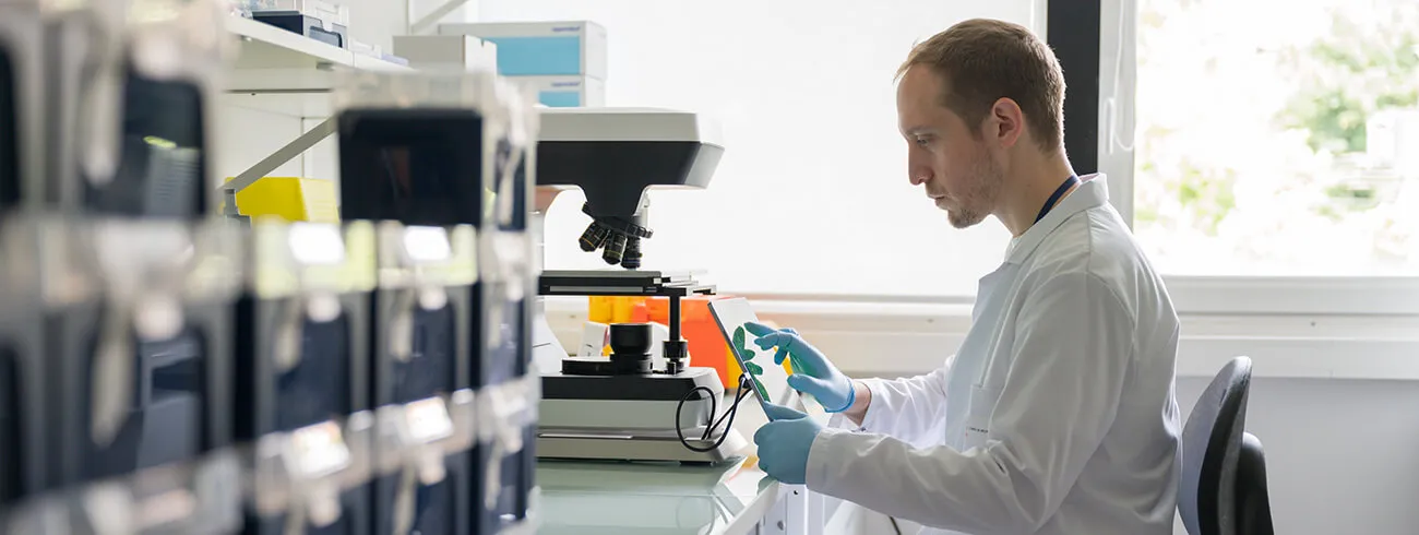 recherche-innovation