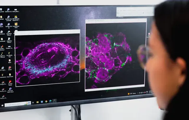 Postdoctorat, doctorat et M2