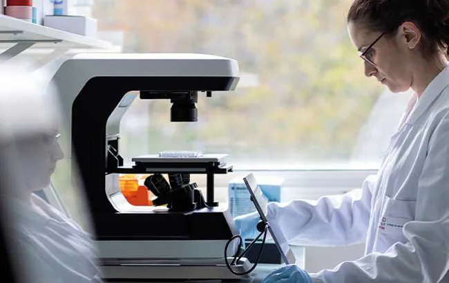 Programmes structurants